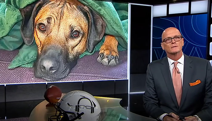 Heartfelt Tribute To Family Dog Who’d Passed Away Has Touched Thousands Heartfelt Tribute To Family Dog Who’d Passed Away Has Touched Thousands