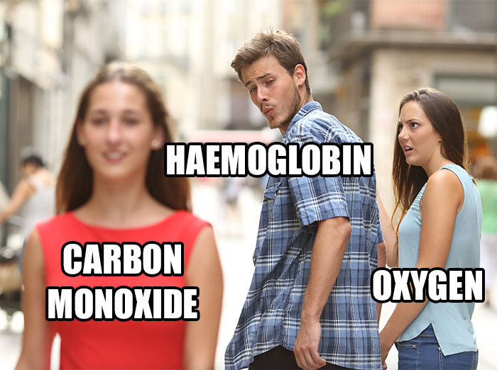 Everyone Loves Stability, Haemoglobin Included