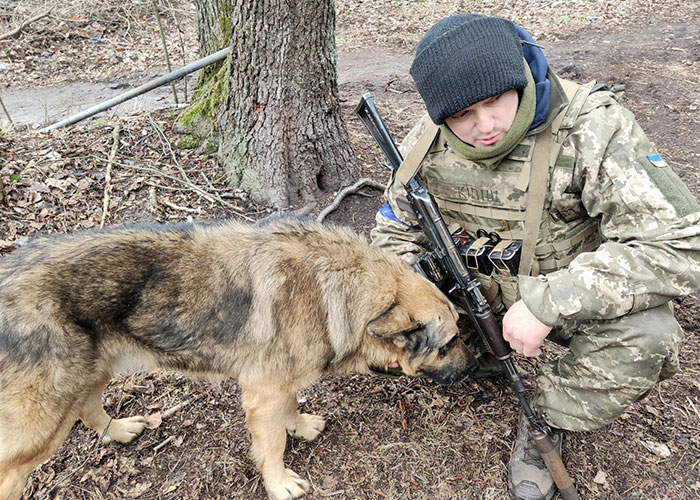 Dog Abandoned By Russian Troops Finds New Owners Within The Ukrainian Army Dog Abandoned By Russian Troops Finds New Owners Within The Ukrainian Army
