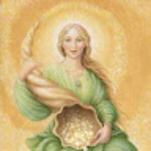 tomerreintjens avatar