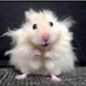 juliethompson avatar