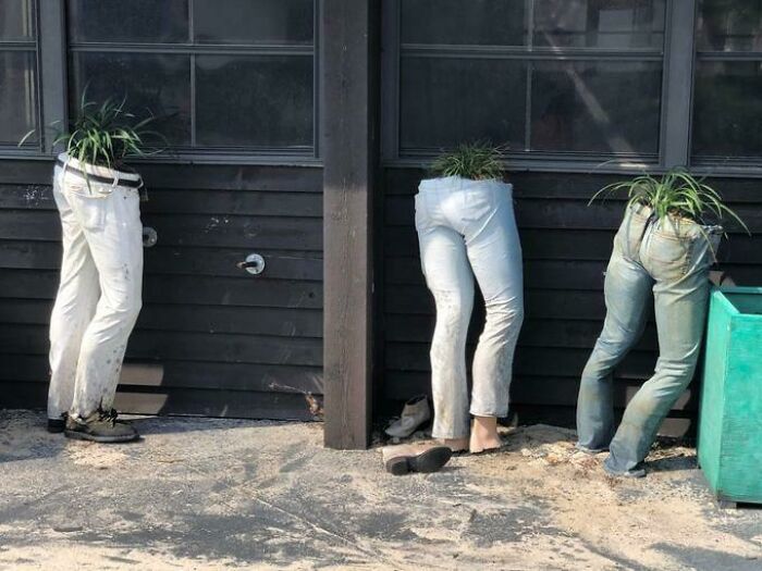 DIY Planters