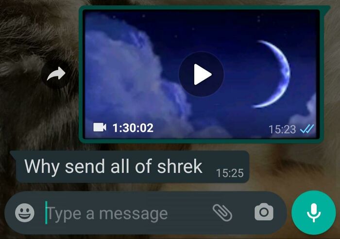 I Sent My Dad The Entire Sherk Movie
