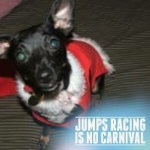 victoria_webster avatar