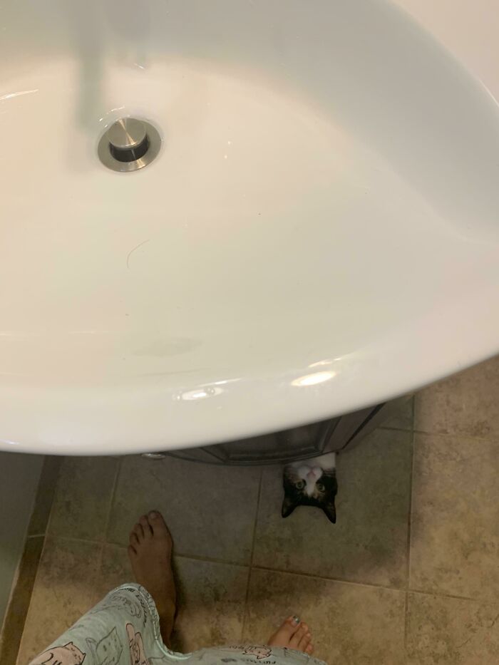 Mi novia se estaba cepillando los dientes esta mañana cuando un monstruo apareció debajo del lavabo