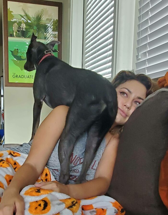 My Roommate's Dog Has No Sense Of Personal Space