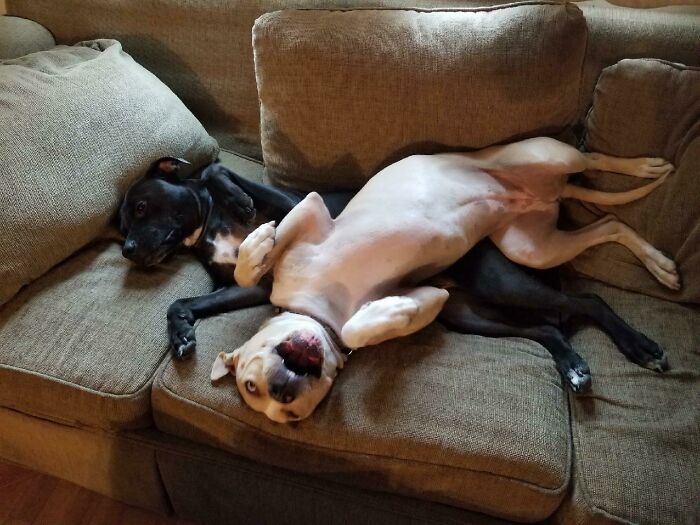 Derp Doesn't Care About Her Brother's Personal Space
