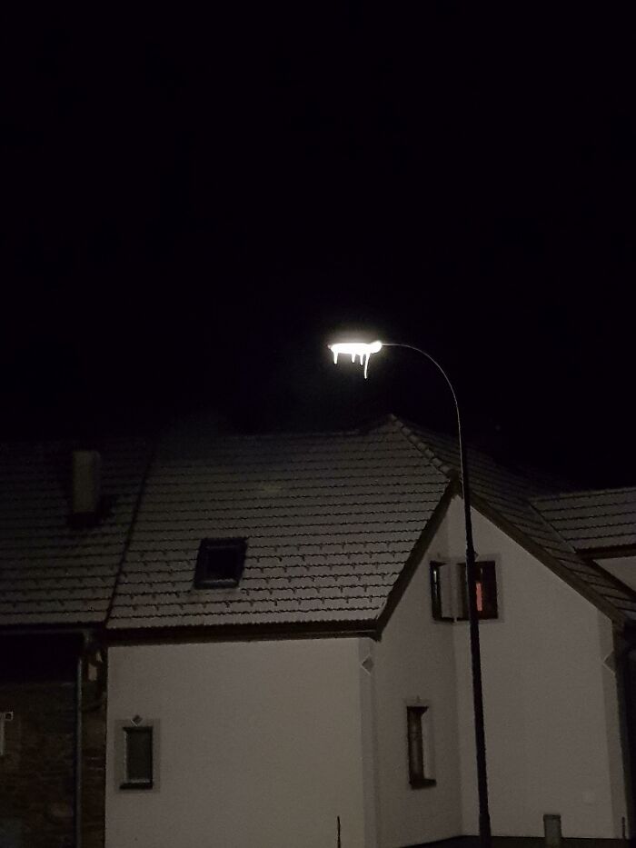 The Ice On This Street Lamp Makes It Look Like The Light Is Dripping Out