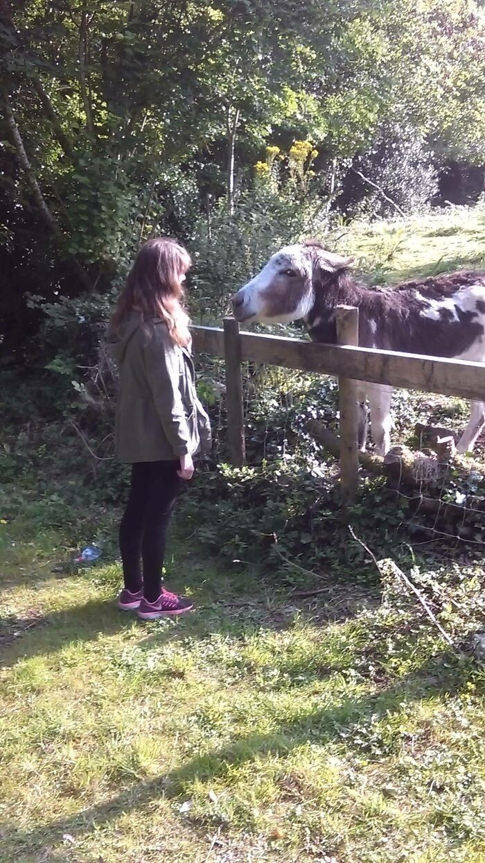Girlfriend Had A Deep Moment With A Donkey