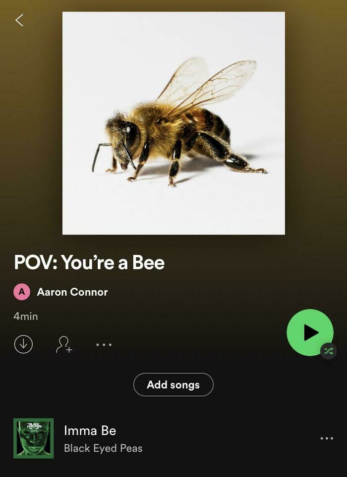 Pov: You’re A Bee