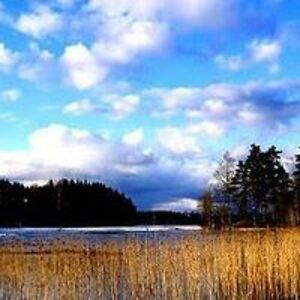 laura-kottwitz avatar