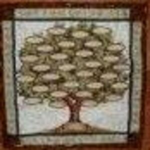 pamelafrisbie avatar