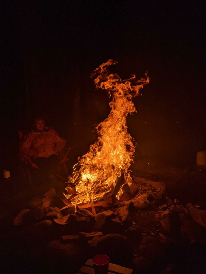 Foto de una hoguera que parece un ciervo