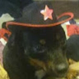 xavieroverall avatar