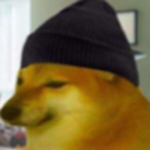 aidanfitzpatrick avatar