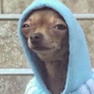 jacksonaxtell avatar