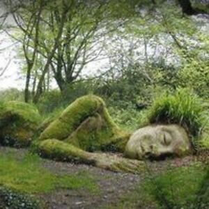 orientalimports avatar