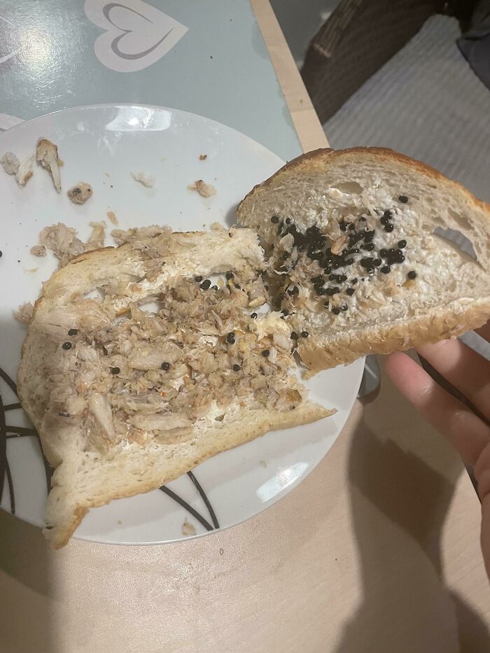 Mi novio se preparó un sándwich de carne de cangrejo y caviar y dijo "sabe demasiado a pescado" cuando lo comió