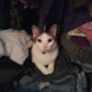 devonnahwoodruff avatar