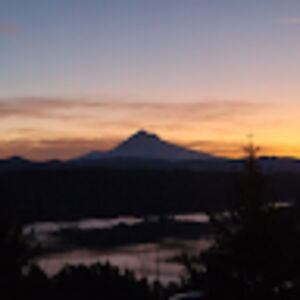 jacquelinebacon avatar