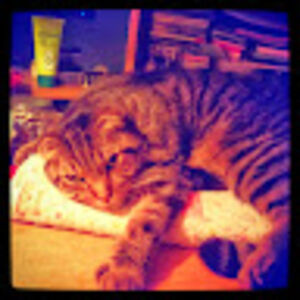 michelebergeron avatar