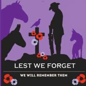 brokenshirekylie avatar