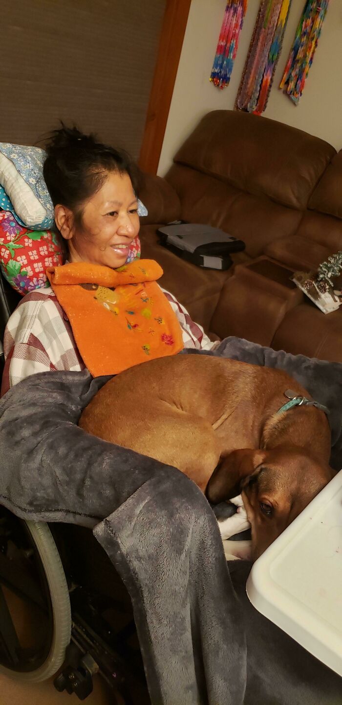 My Dog Loves My Mother-In-Law