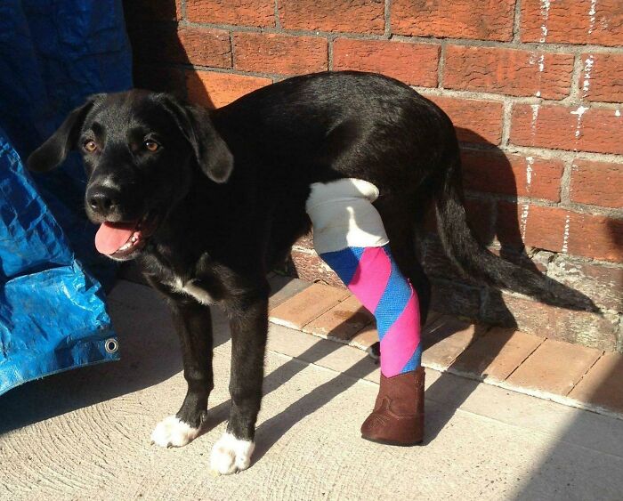 She Had A Build-A-Bear Football Boot, But Then The Mother-In-Law Wanted To Make Her Look More Like A Girl If She Needed To Keep Her Cast Protected From The Wet