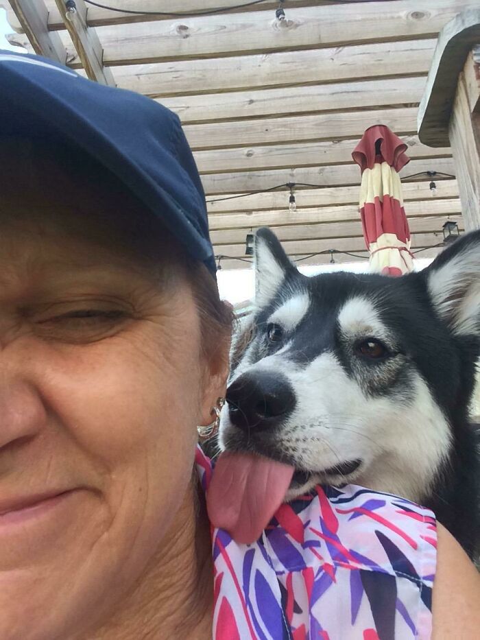 I Asked My Mother In Law If She Checked On My Dog While I Was At Work, I Got This Picture As A Reply