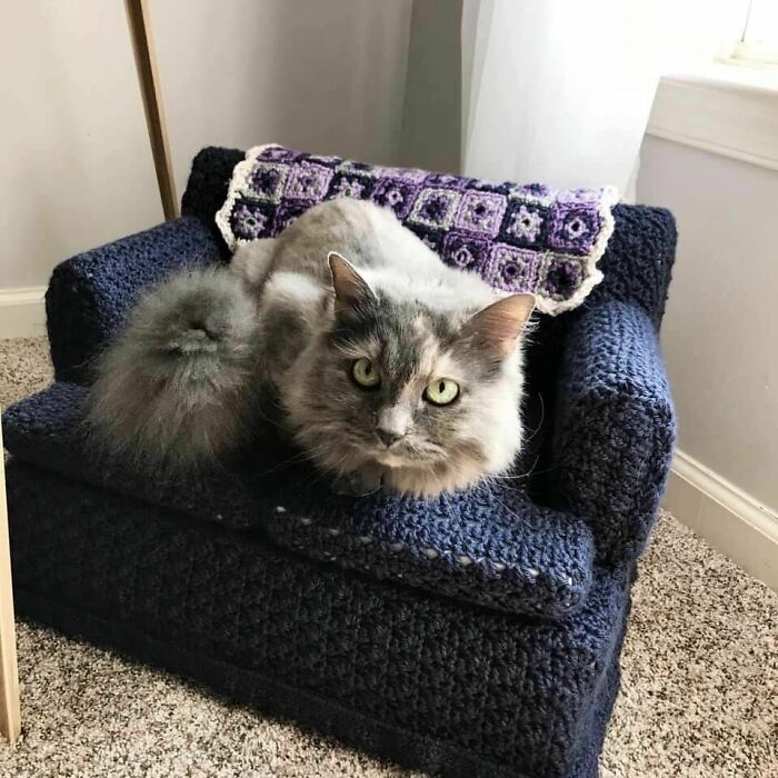 It’s Important To Me That The People Of Social Media Know That My Mother-In-Law Crocheted Her Grandcat A Couch With A Coordinating Afghan