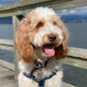 addisonbryant avatar