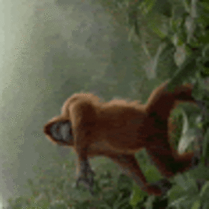 gabrielerhabor avatar