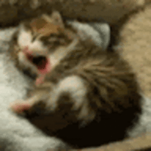 chloe-louisbeaugrand avatar