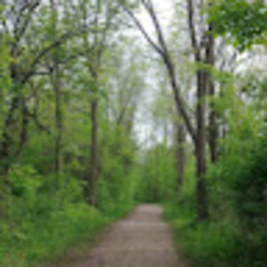 tracielliott_1 avatar