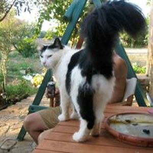 alexchar_2001 avatar