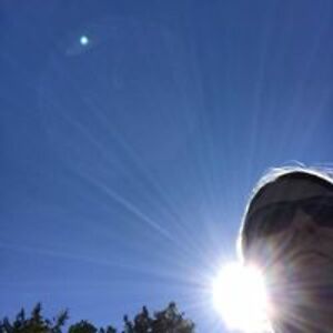 catsfromjapan avatar