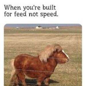 chris_morrison avatar