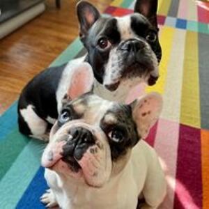 alexandra_heule avatar