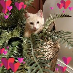 paula_grunden avatar