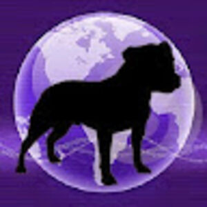 alisonstaffyclub avatar