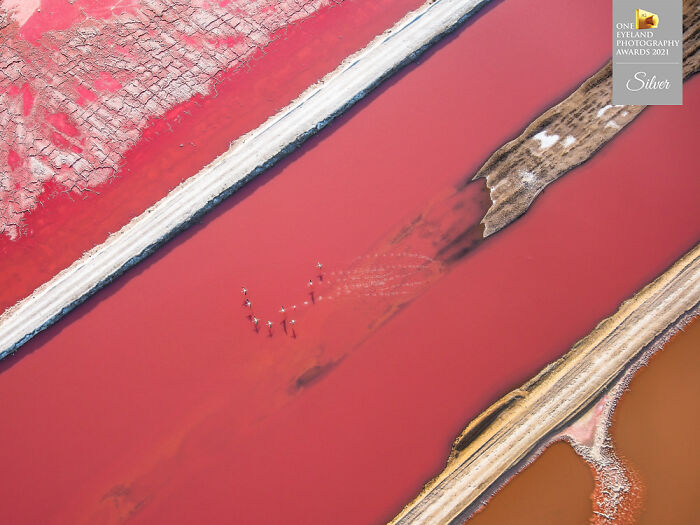 "Flamingo Airport" By Cedric Tamani. Silver In Nature, Aerial