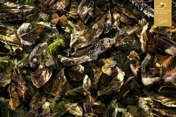 "Dead Leaves" By Elnaz Taassob. Gold In Fine Art, Still Life