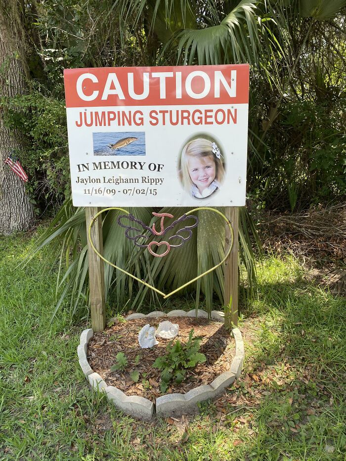Watch For Jumping Sturgeon