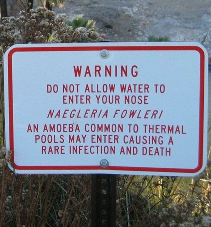 Ok, Let's Just Go To The Public Pool?