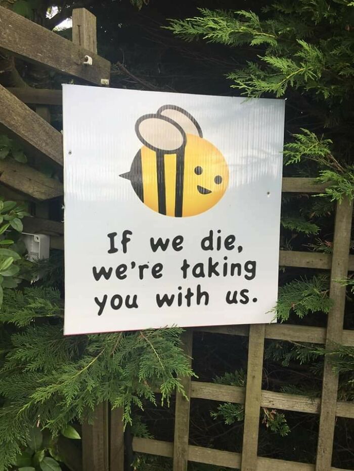 Save The Bees