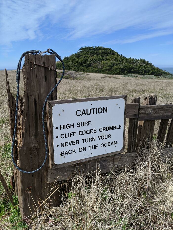 Oddly Poetic Sign In Sea Ranch, Ca