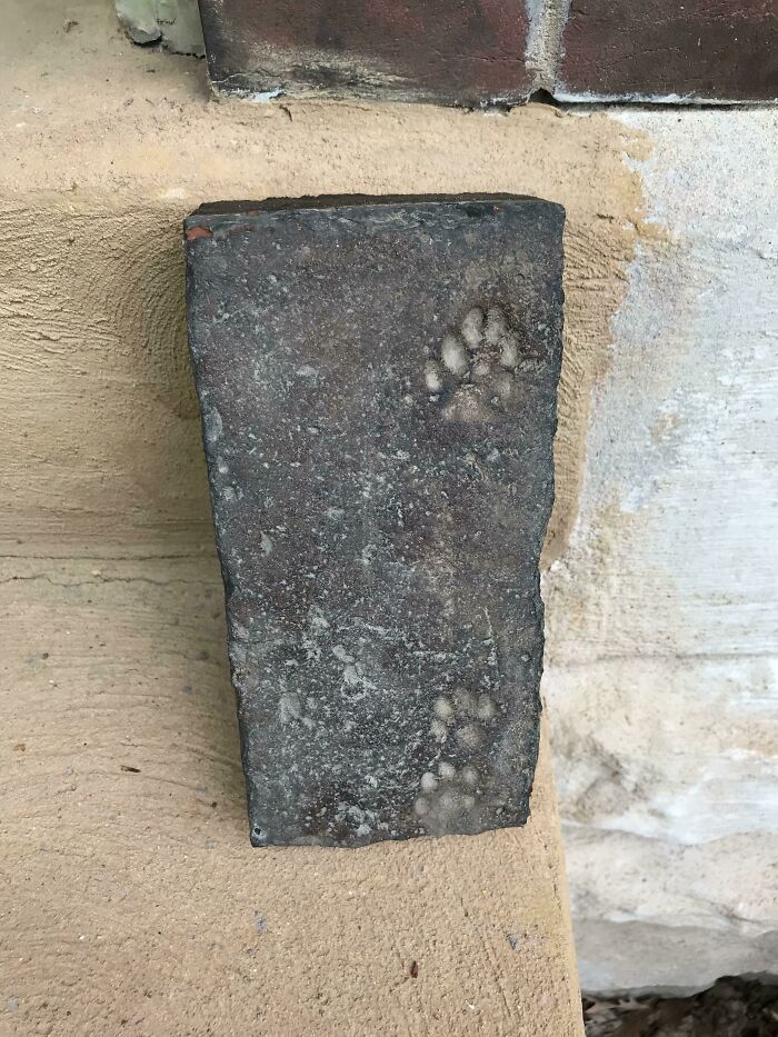Was Sorting Through Some Old Brick That Was Left Over From Our 1890’s Townhouse, And Came Across This