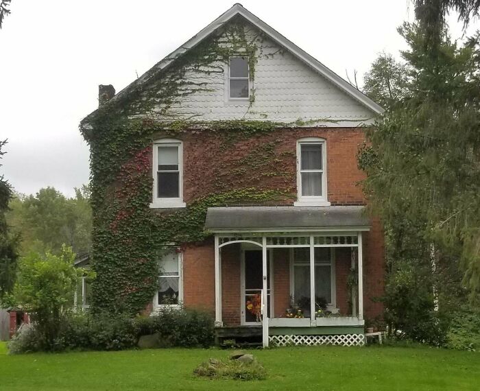 My Great Grandparents 1890s Farmhouse. It's Nothing Terribly Special But It's Been In Our Family For Almost 8 Generations And I Absolutely Love It! (As A Side Note, Most Of The Ivy Was Taken Care Of!)