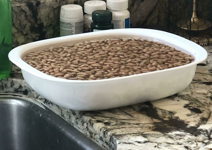 Light Diffraction Made My Beans Look Like They Were A Picture Of Beans Sitting In A Dish