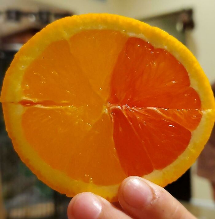 Was Eating Orange Slices Until I Found Half Yellow And Half Orange Ones. Very Cool